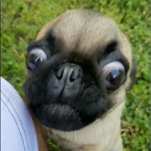 Meet your Posher, Eric